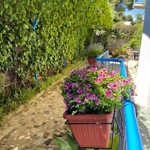 villa-savoia-mondello.sicilyhotelsitaly.net/